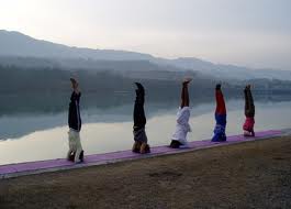 Video Postural Yoga Therapy